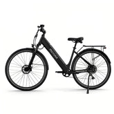 FM M2 electric bike