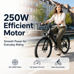 FM M2 electric bike