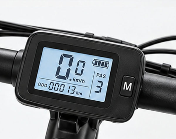 LCD COLOR DISPLAY