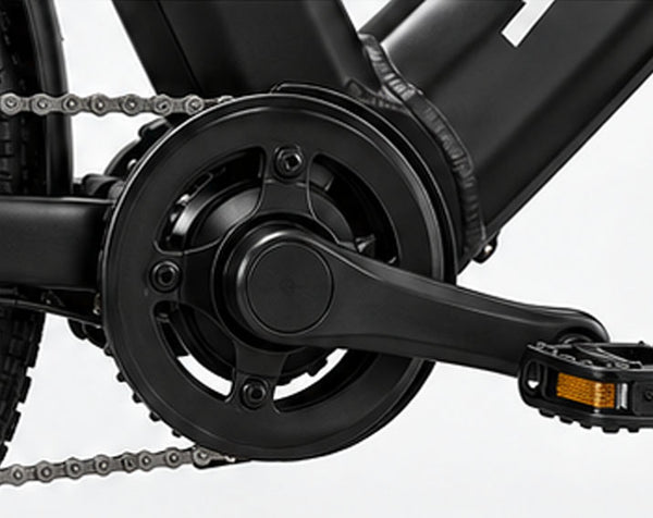 PEDAL ASSIST & SPEED SENSOR
